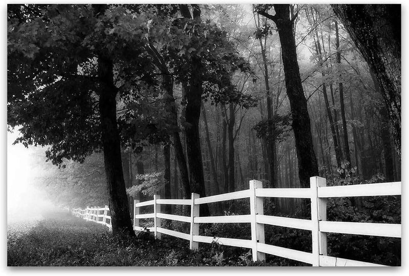 Startonight Leinwandbilder Schwarz und Weiss Strasse im Wald, Doppelansicht Überraschung Modernes De