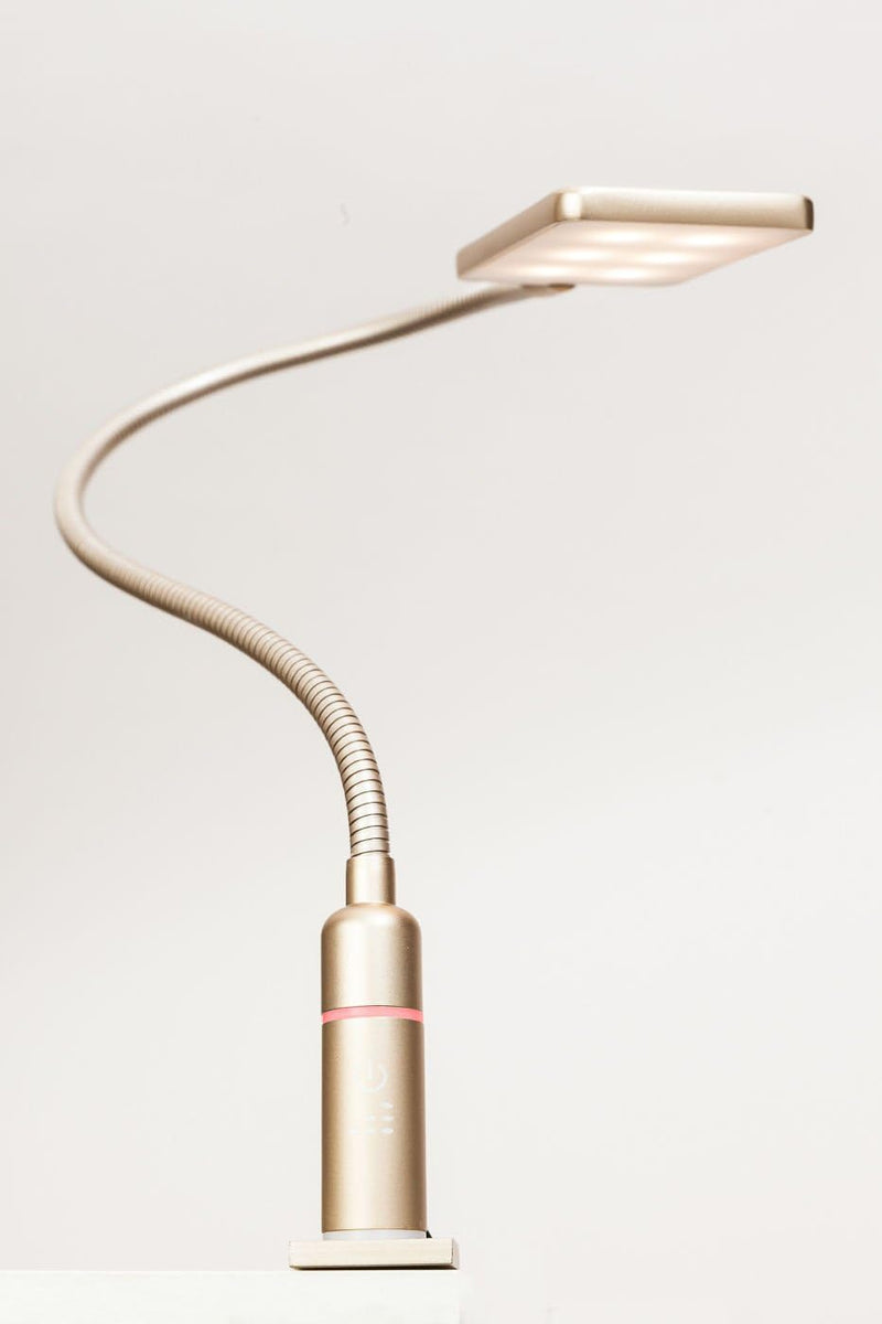 4W LED Bettleuchte Leseleuchte Flexleuchte Nachttischlampe Bettlampe Leselampe, Auswahl:1er Set mess