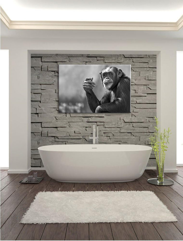Pixxprint Aufmerksamer Schimpanse Kunst B&W / 100x70cm Leinwandbild bespannt auf Holzrahmen/Wandbild