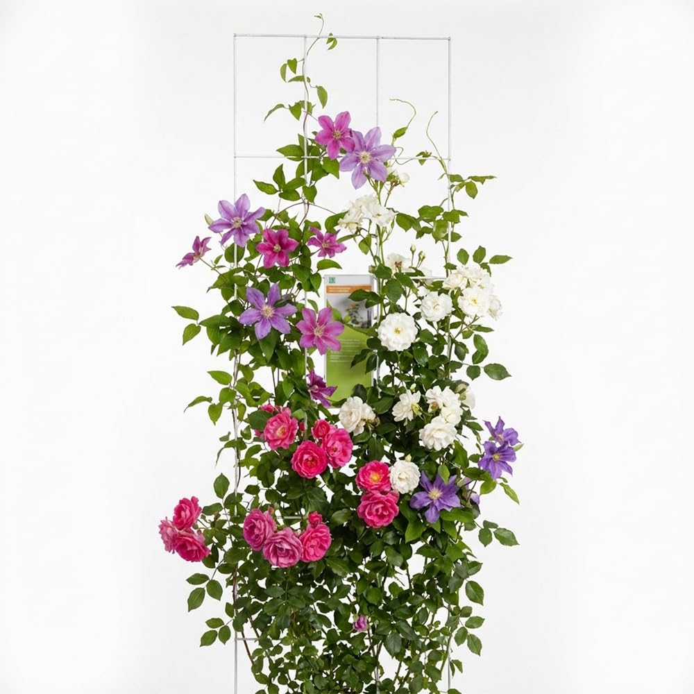 Gitterspalier Metall 150 x 60 cm Rankhilfe weiss, Kletterhilfe für Pflanzen, Rosen &amp; Rankpflanzen, i