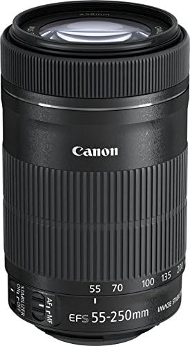 Canon EF-S 55-250mm 1:4-5.6 is STM Tele-Zoomobjektiv (58mm Filtergewinde) schwarz Single, Single