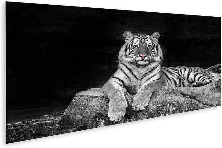 islandburner Bild auf Leinwand Weisser Tiger Bilder Wandbilder Poster Leinwand 120x40cm - Panorama,