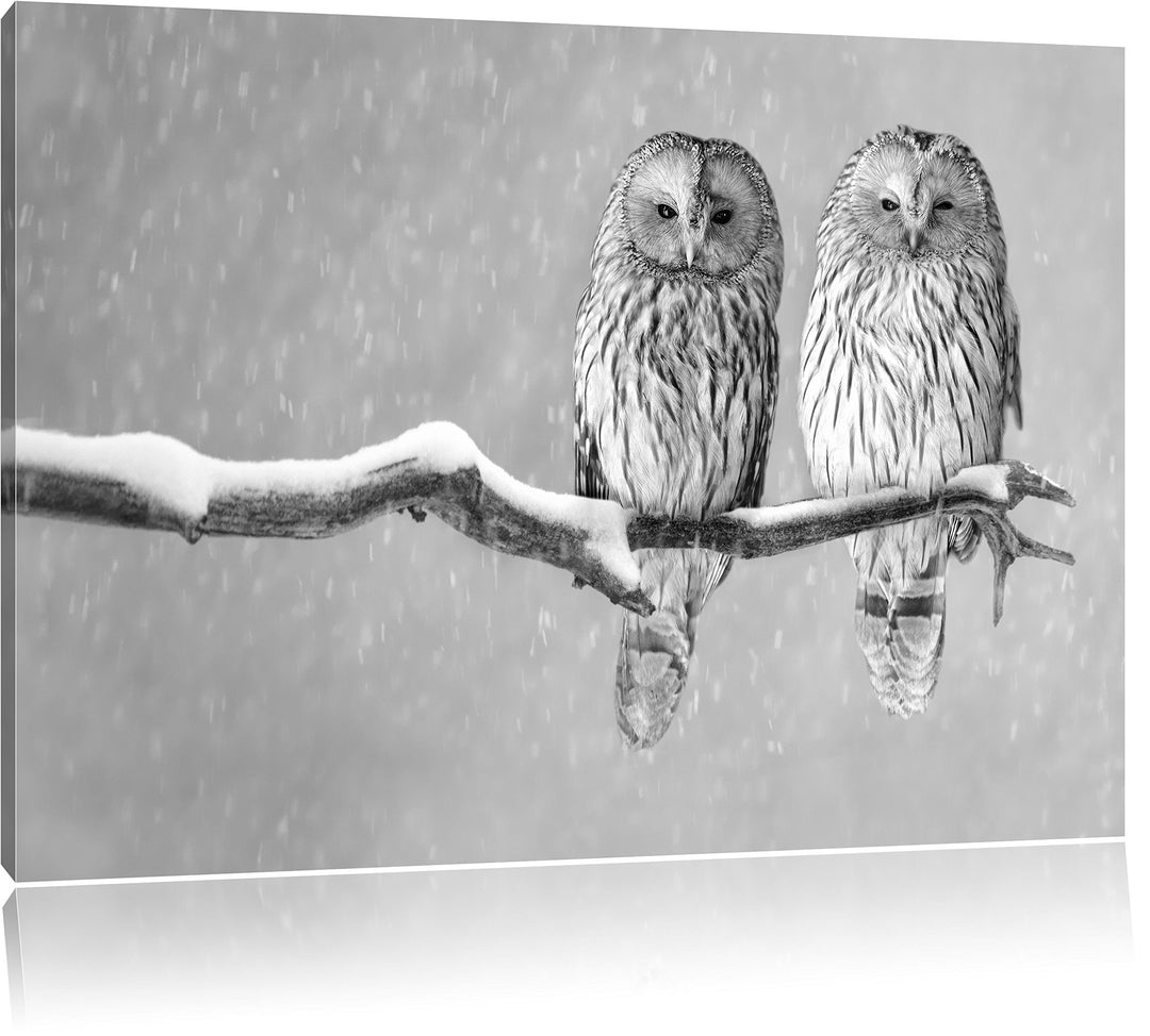 Pixxprint Zwei Eulen in Winterlandschaft Kunst B&W, Format: 100x70 auf Leinwand, 100x70