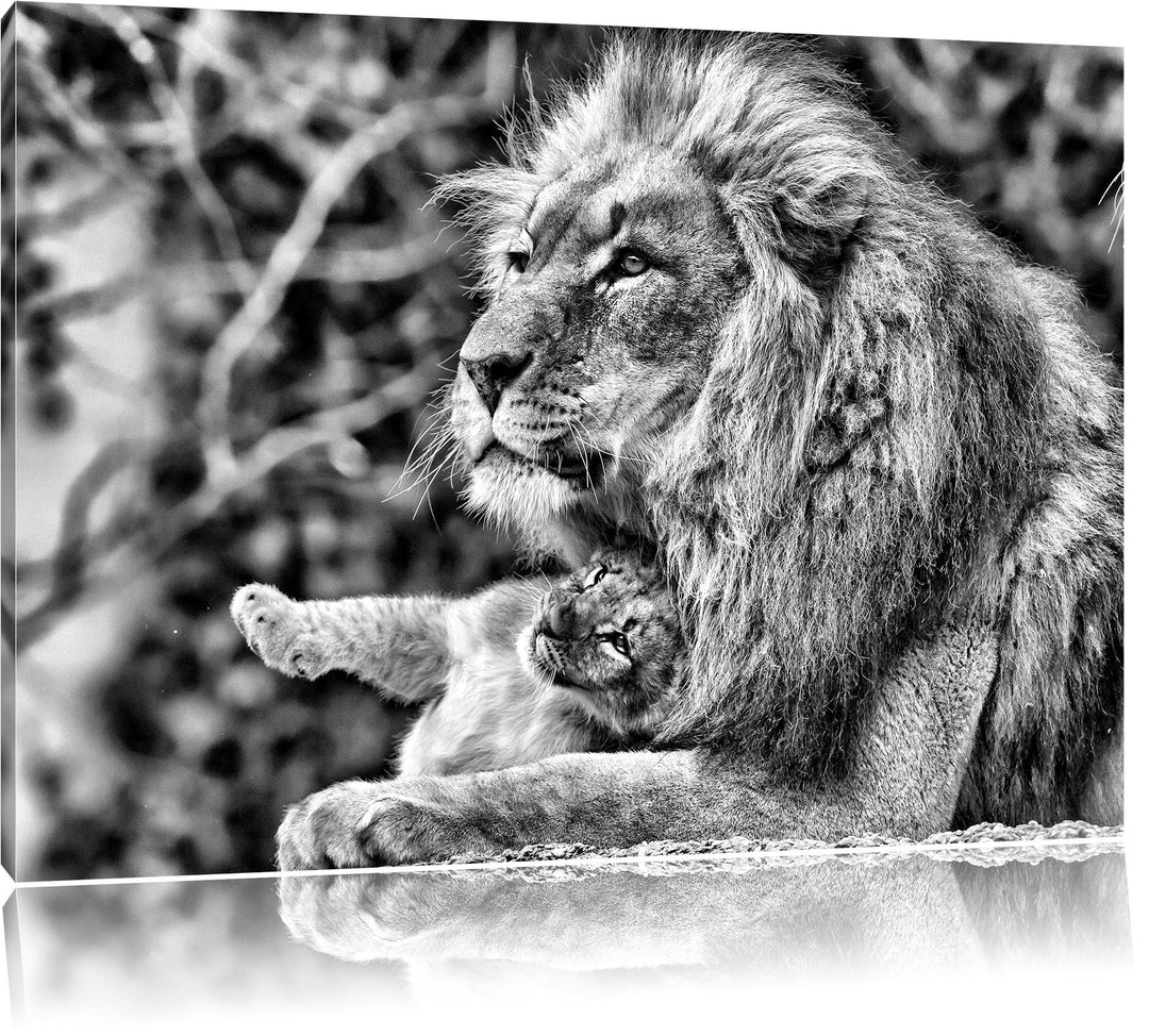 Pixxprint Monocrome, liebevoller Löwe mit Jungtier, Format: 100x70 auf Leinwand, riesige Bilder fert