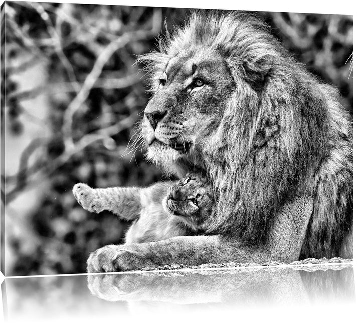 Pixxprint Monocrome, liebevoller Löwe mit Jungtier, Format: 100x70 auf Leinwand, riesige Bilder fert