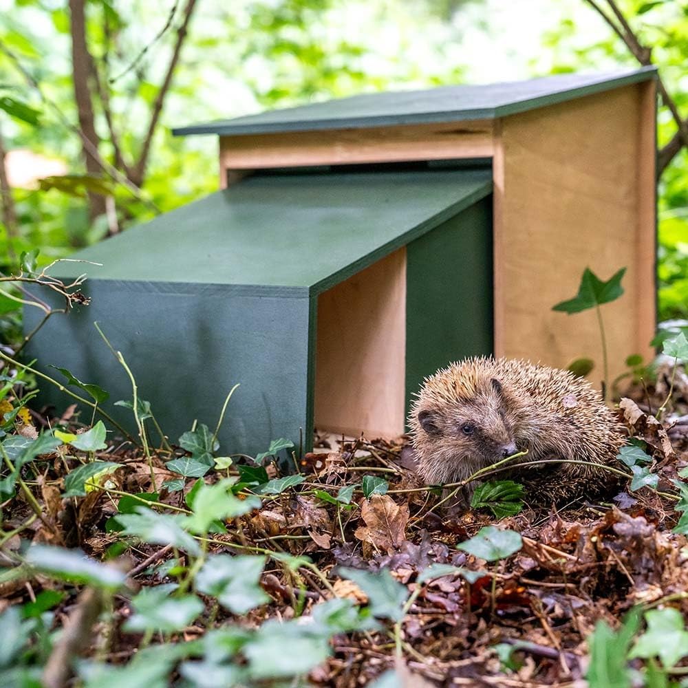 CJ Wildlife Igelhaus Winterfest – Igelfutterhaus aus FSC-Holz Grün – wetterfestes Igel Futterhaus mi