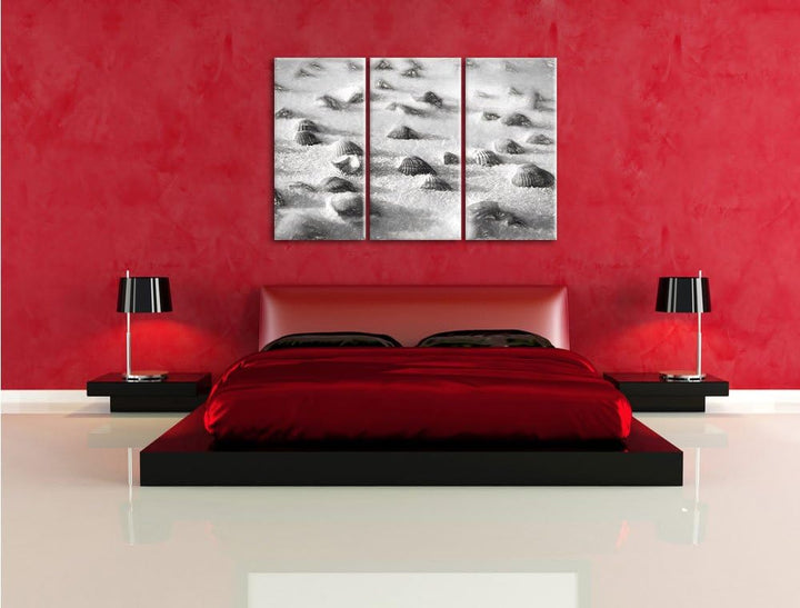 Pixxprint Muscheln im Sand Kunst als Leinwandbild/Grösse: 3 Teilig (120x80) / Wandbild/Kunstdruck/fe