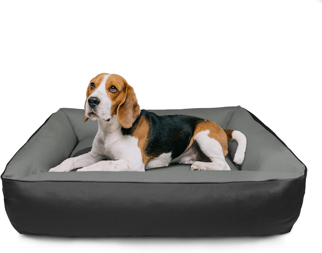 BedDog Hundebett 2in1 MAXQ, Hundekissen mit abziehbaren waschbaren Bezug, Hundekorb, Hundesofa, für