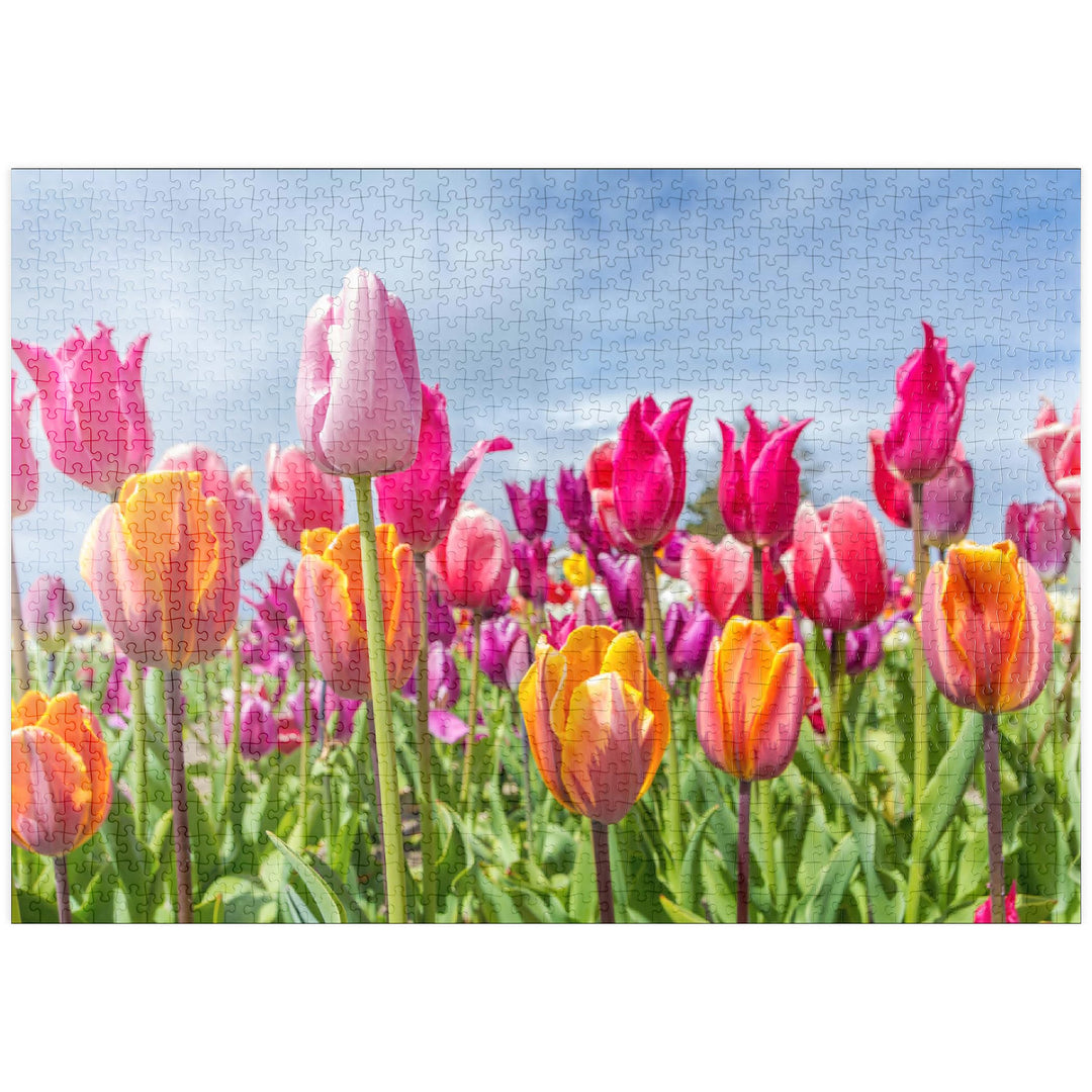 Orange- gelbes Tulpenfeld - Premium 1000 Teile Puzzle - MyPuzzle Sonderkollektion von Puzzle Galaxy,