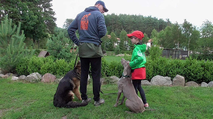 Dingo Gear Trainingsgürtel Arbeitskirt Schutzbekleidung Agility Trainer Helfer Ipo Sporthund XL Grün