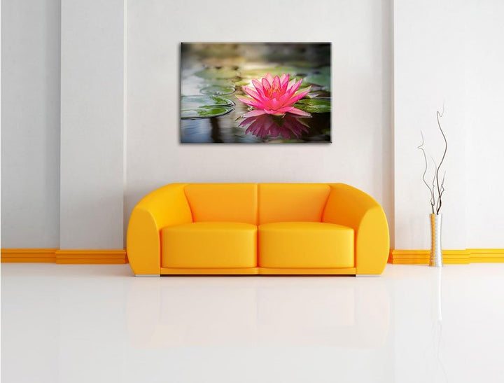 Anmutige Seerose mit Blättern Format: 100x70 auf Leinwand, XXL riesige Bilder fertig gerahmt mit Kei