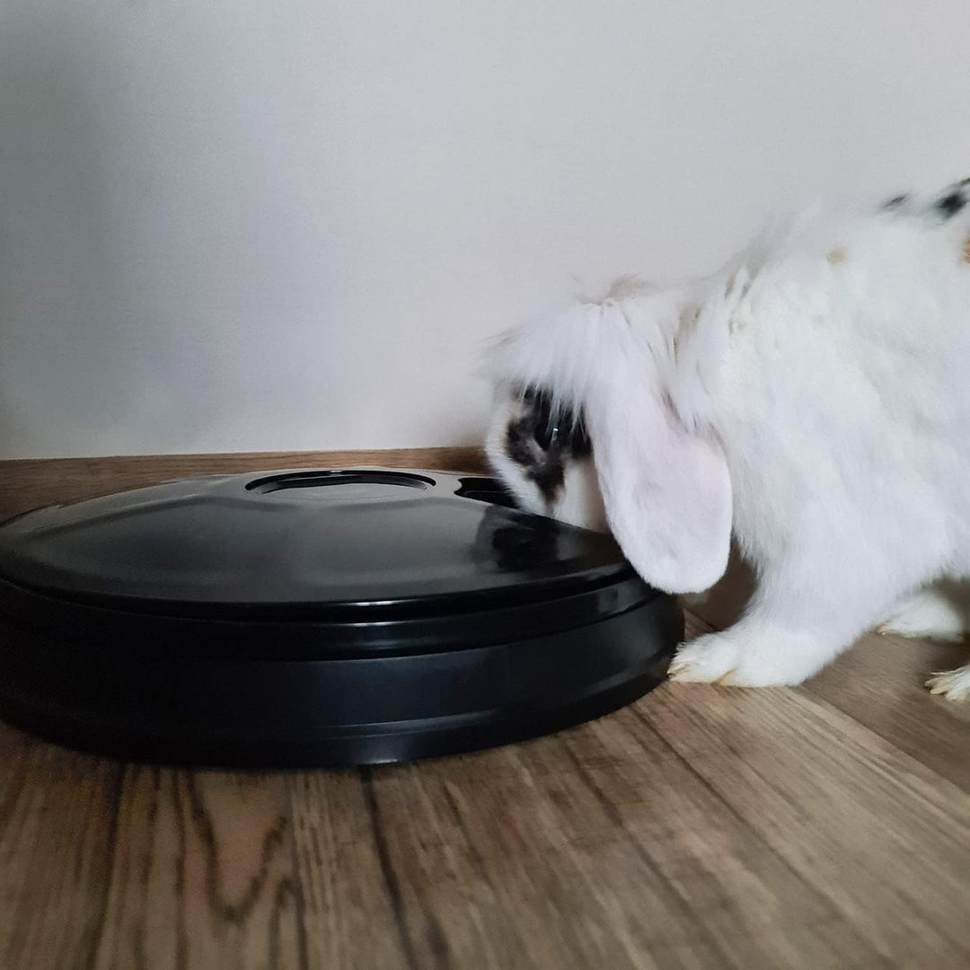 Futterautomat für Haustiere 6 Kammern Futternapf zeitgesteuert 20759