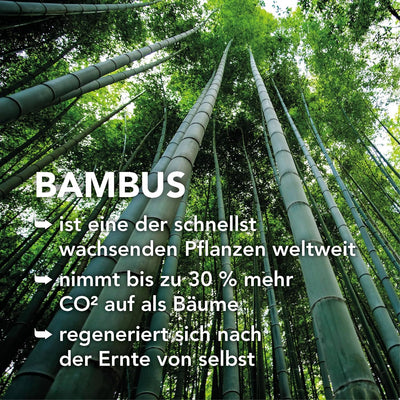XDREAM Bambus Sommersteppdecke | 100% Baumwolle | leichte Bambusfüllung ideal für den Sommer | wasch