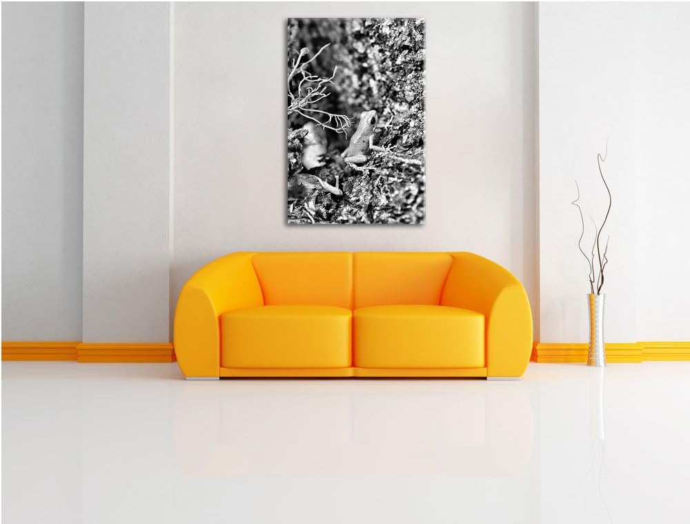 Pixxprint hochgiftiger Kleiner Frosch als Leinwandbild/Grösse: 100x70 cm/Wandbild/Kunstdruck/fertig