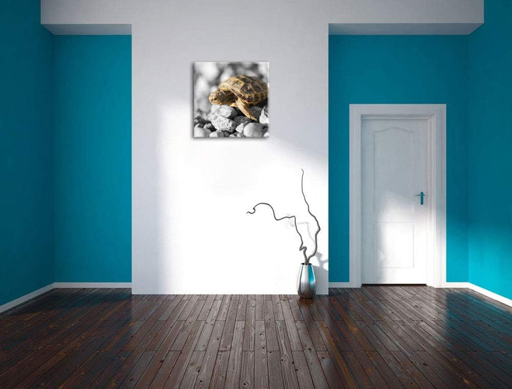 Pixxprint süsse Schildkröte auf Steinen schwarz/weiss, Format: 70x70 auf Leinwand, 70x70