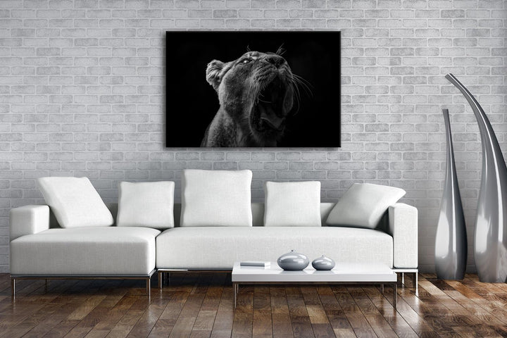 deyoli Dark stolze Löwin Format: 100x70 Effekt: Schwarz/Weiss als Leinwand, Motiv fertig gerahmt auf