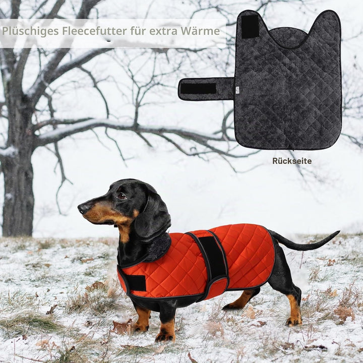 Geyecete - Warmer wintermantel für dackel Hunde,Hunde Winterjacken mit plüschfutter,Outdoor jacken m