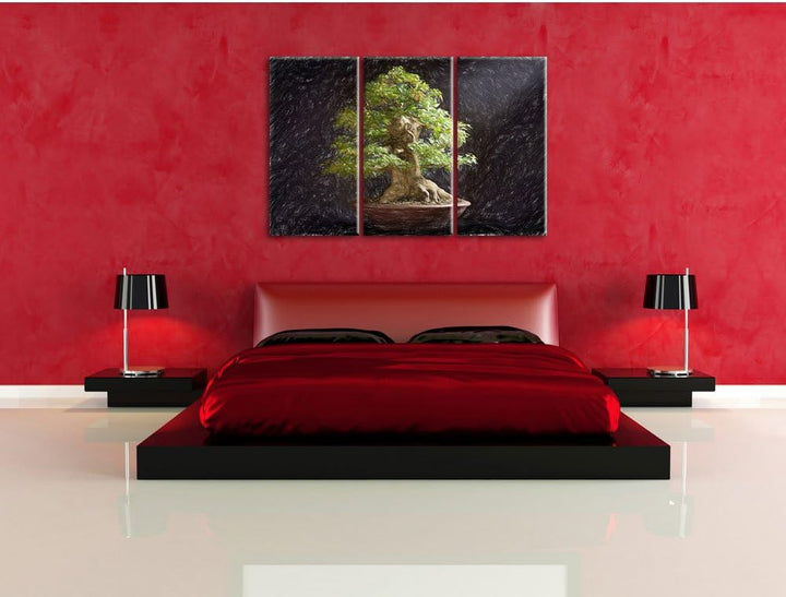 Pixxprint Kleiner Bonsaibaum Bunstift Effekt 3-Teiler Leinwandbild 120x80 Bild auf Leinwand
