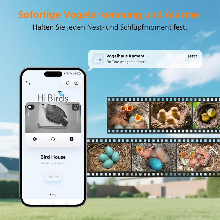 Nistkasten mit 5MP Kamera Solar, Vogelhaus zum Aufhängen für Wetterfest, 2,4G WiFi &amp; App Benachricht