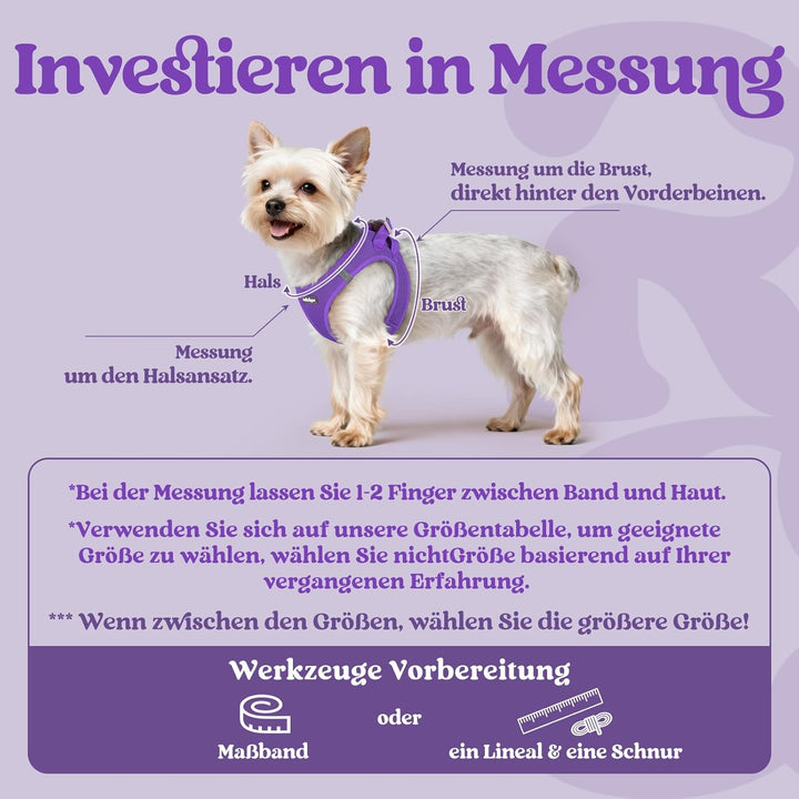 rabbitgoo Hundegeschirr Kleine Hunde, Step-in Welpengeschirr Weich Mesh für Spaziergänge, Atmungsakt