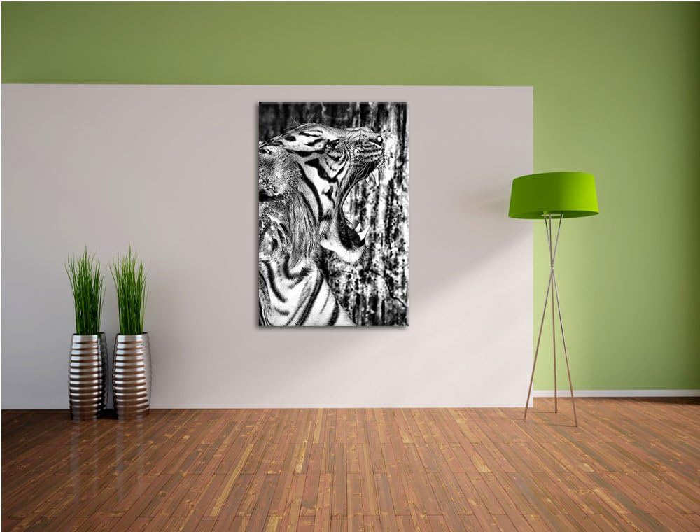 Pixxprint Monocrome, Brüllender Tiger, Format: 100x70 auf Leinwand, 100x70
