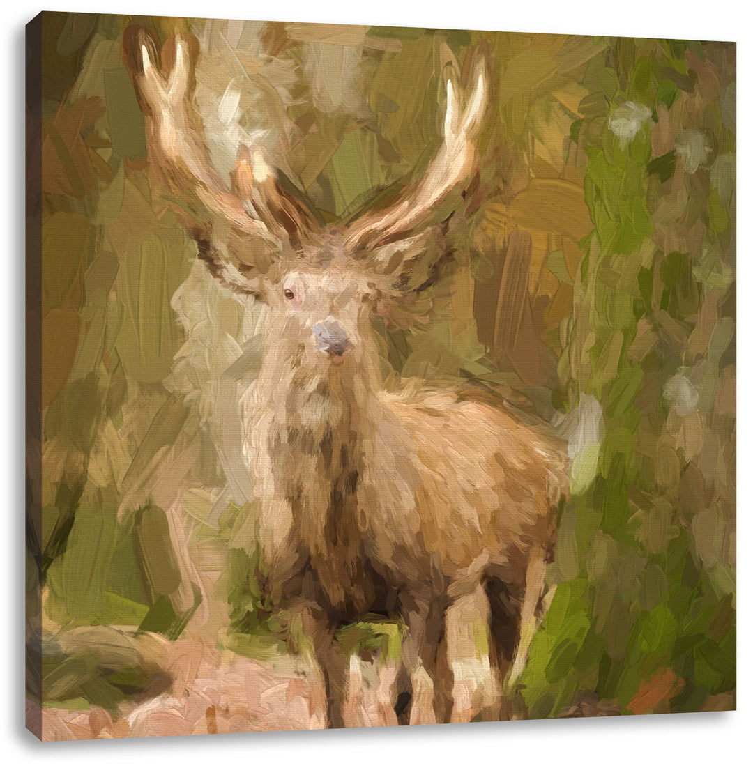Pixxprint Schöner Hirsch im Wald Pinsel Effekt, Format: 70x70 auf Leinwand, 70x70