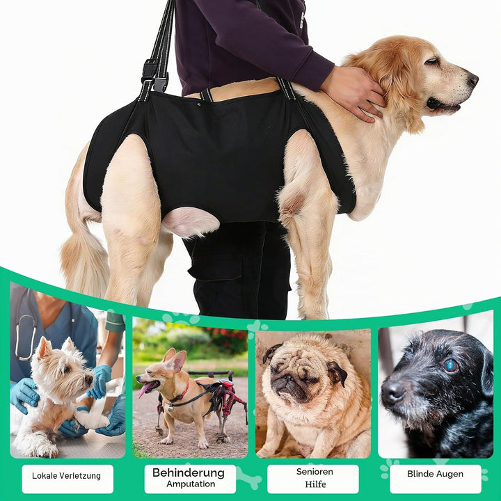 Tragehilfe Hund Gross, Hunde Tragehilfe, Hundeliftgeschirr, Hundehebegeschirr,Haustierunterstützung