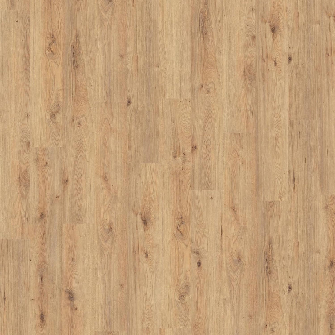 Klick Laminat Kronotex Exquisit Atlas Eiche Oak Natur D3224 Paket 2,131 qm
