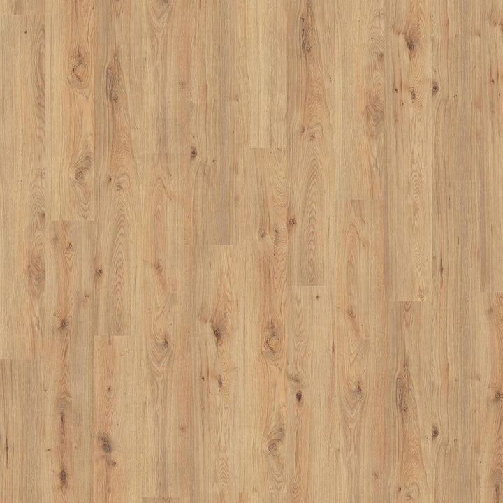 Klick Laminat Kronotex Exquisit Atlas Eiche Oak Natur D3224 Paket 2,131 qm