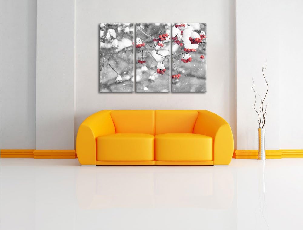 Pixxprint Vogelbeeren mit Schnee bedeckt Schwarz/Weiss 3-Teiler Leinwandbild 120x80 Bild auf Leinwan