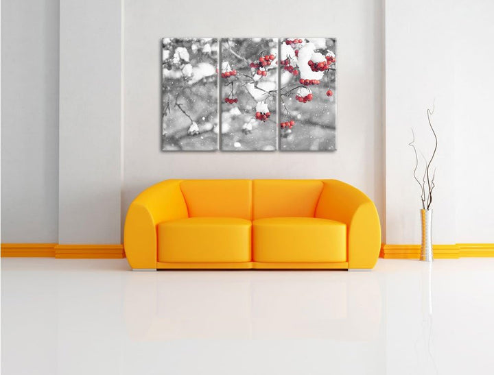 Pixxprint Vogelbeeren mit Schnee bedeckt Schwarz/Weiss 3-Teiler Leinwandbild 120x80 Bild auf Leinwan