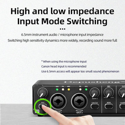 Depusheng RX2 USB Audio Interface Computer Aufnahme Soundkarte Audio Mixer Audio Interface für Home