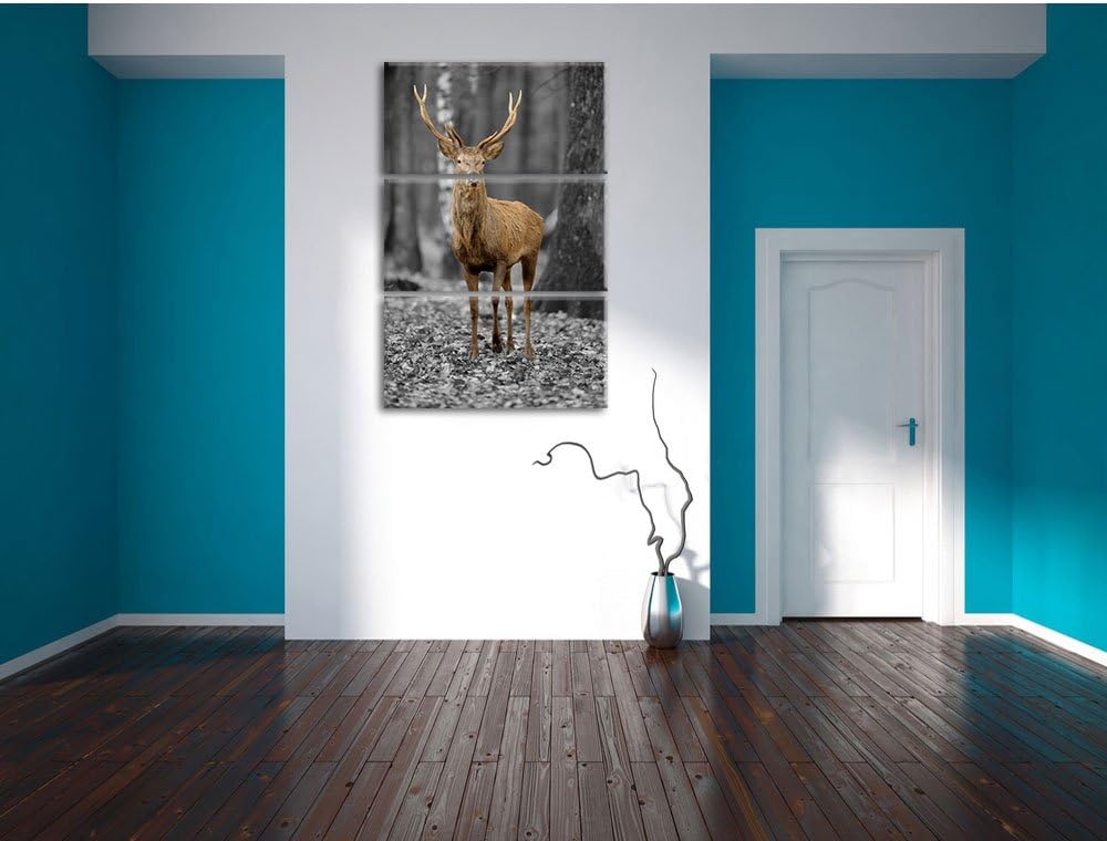 Pixxprint Schöner Hirsch im Wald Schwarz/Weiss 3-Teiler Leinwandbild 120x80 Bild auf Leinwand