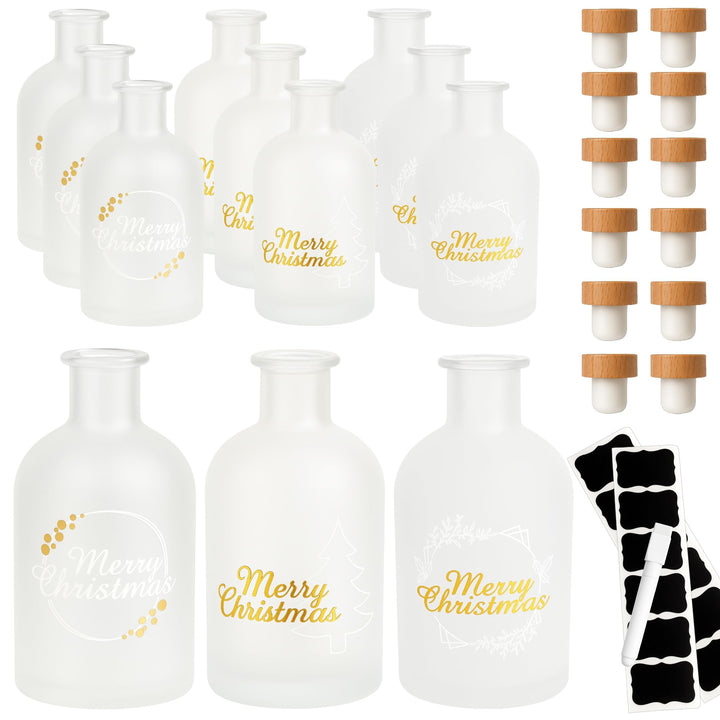 gouveo 12er Set Glasflasche 250 ml Apotheker gefrostet Weihnachten Mix-Set mit Korken (HGK) - Weihna