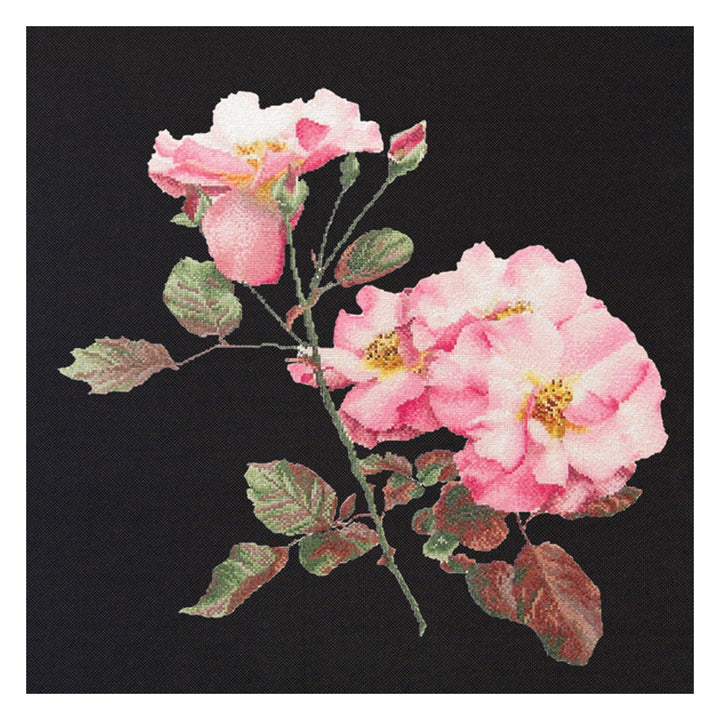 Thea Gouverneur - Kreuzstich-Set - Rosa Leersum - Aida Schwarz - 18 Count - Für Erwachsene - 412.05,