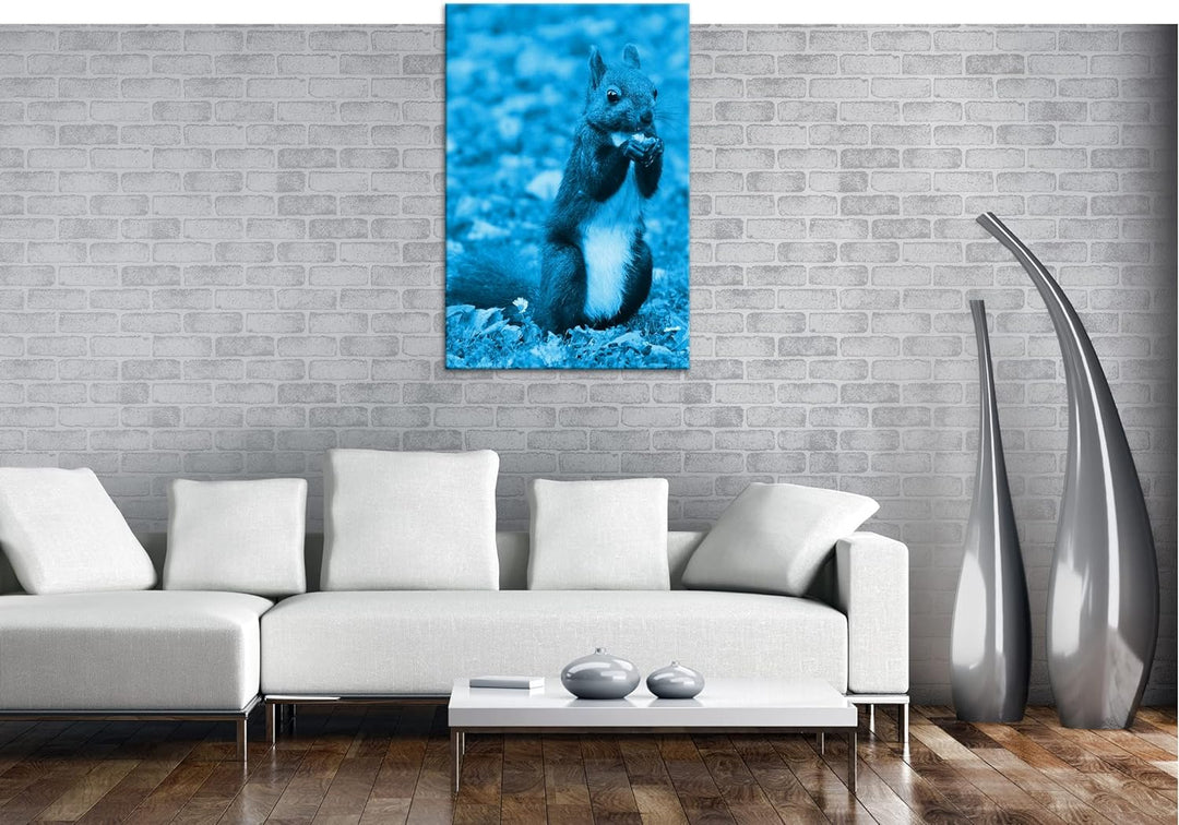 deyoli Zucker süsses Eichhörnchen beim essen Format 80x60 Effekt: Monocrome Blau als Leinwandbild, M