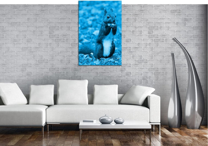 deyoli Zucker süsses Eichhörnchen beim essen Format 80x60 Effekt: Monocrome Blau als Leinwandbild, M