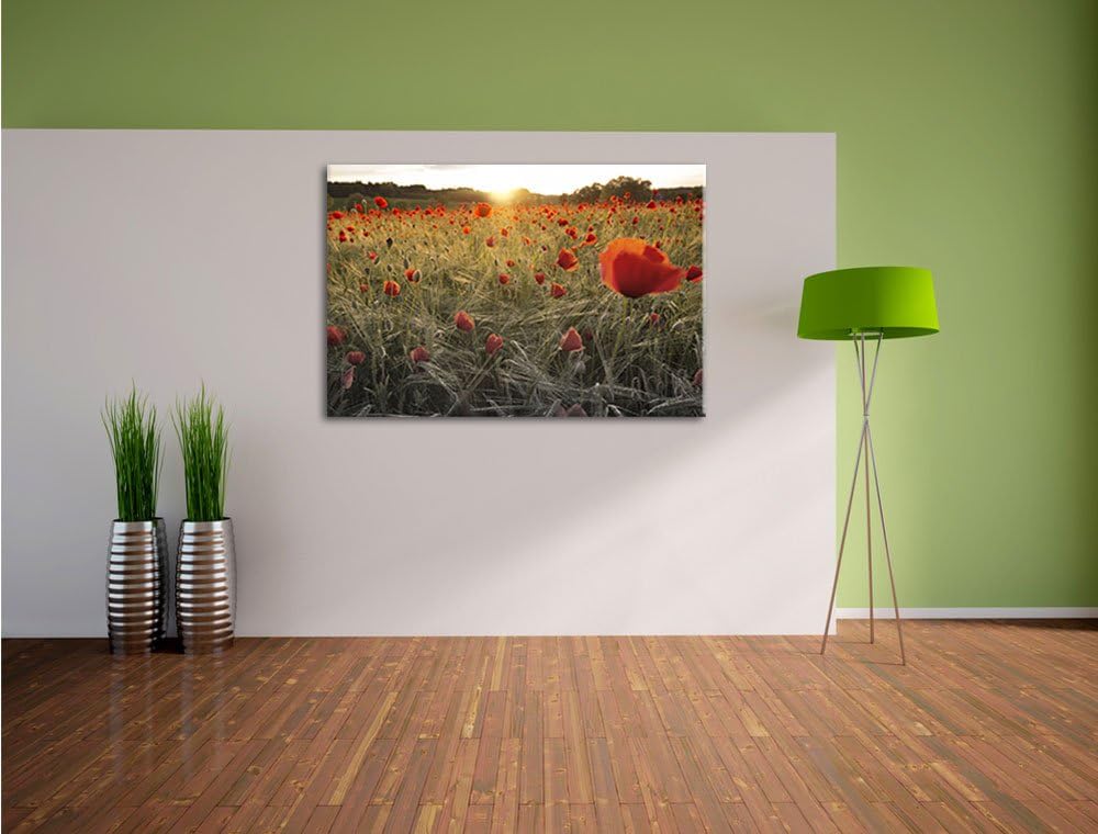 Pixxprint Mohnfeld bei Sonnenuntergang als Leinwandbild/Grösse: 100x70 / Wandbild/Kunstdruck/fertig