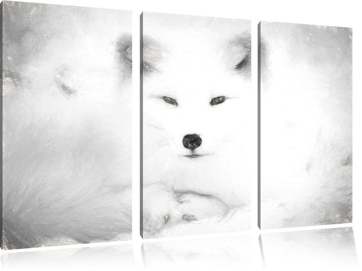 Pixxprint weisser Fuchs als Leinwandbild/Grösse: 3 Teilig (120x80) cm/Wandbild/Kunstdruck/fertig bes