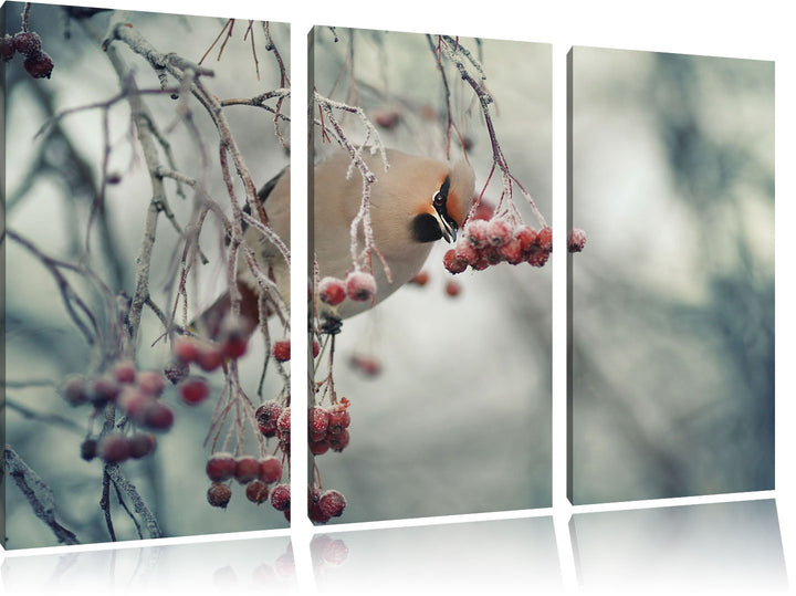 Pixxprint Kleiner Vogel im Vogelbeerbaum als Leinwandbild/Grösse: 3 Teilig (120x80 cm) cm/Wandbild/K