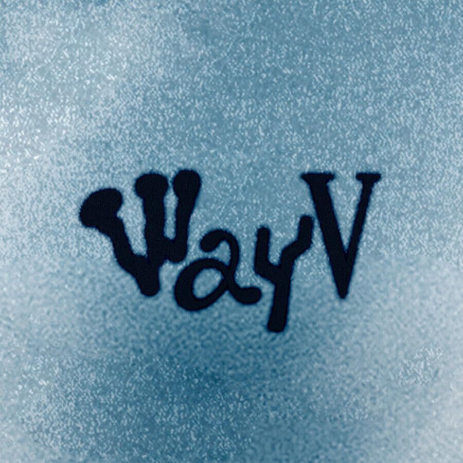 WAYV [ON MY YOUTH] The 2nd AB (PHOTO BOOK Ver. + 1ea Store Gift Photo Card) K-POP SEALED