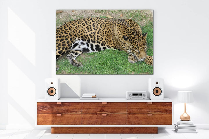 deyoli ruhig liegender Leopard Format: 100x70 als Leinwand, Motiv fertig gerahmt auf Echtholzrahmen,