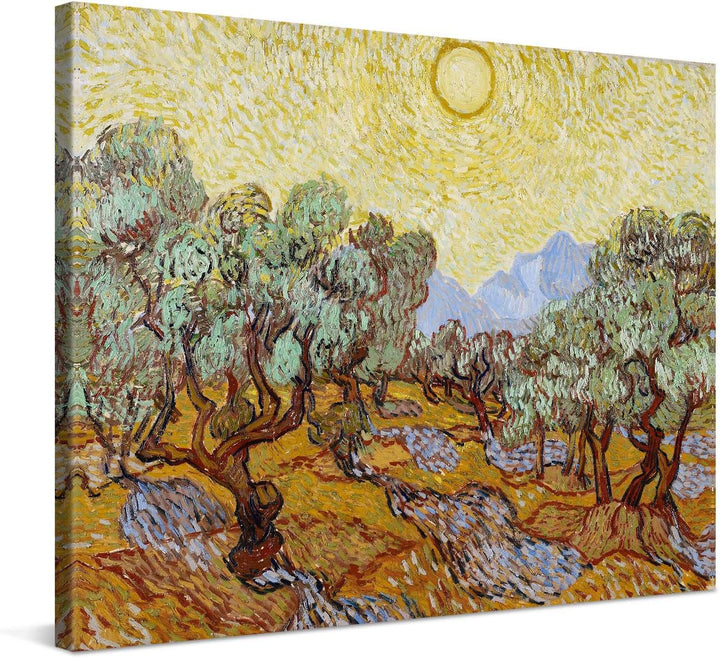 PICANOVA – Vincent Van Gogh Olive Trees 80x60 cm – Bild auf Leinwand – Leinwandbild – Premium Leinwa