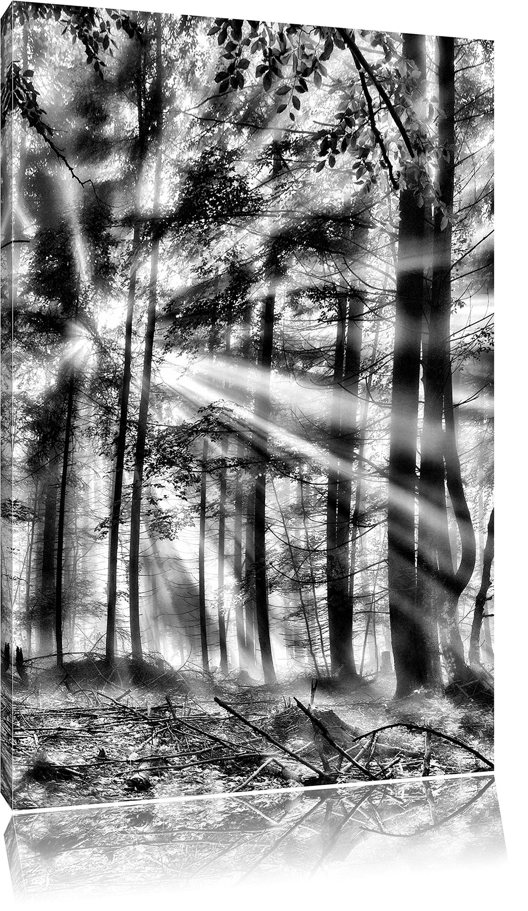 Pixxprint diesiger Waldweg / 100x70cm Leinwandbild bespannt auf Holzrahmen/Wandbild Kunstdruck Dekor