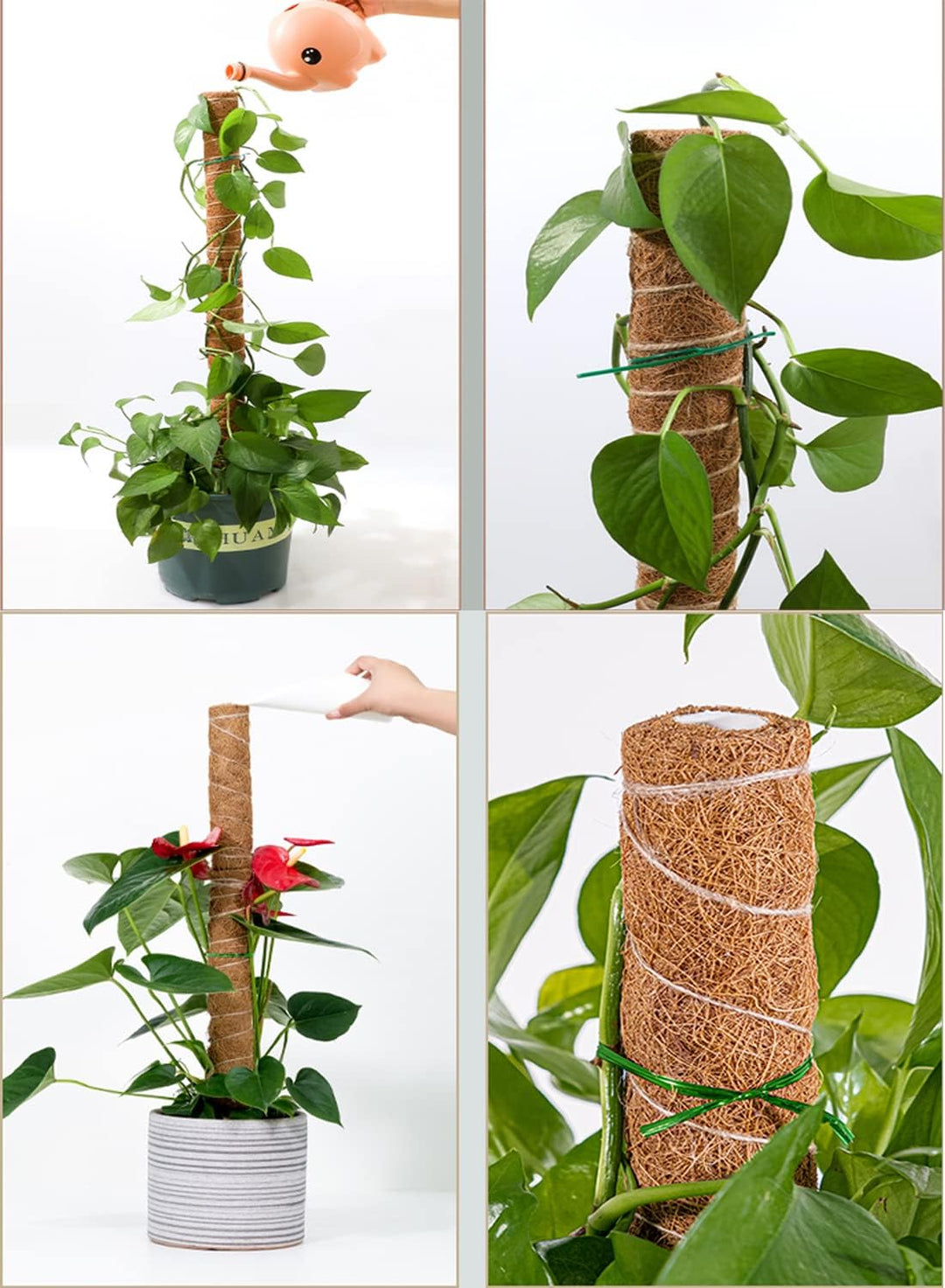 4 Stück Pflanzstab Kokos, 40cm Moosstab für Monstera, Moss Pole, Verlängerbar Coir Moss Stick,Prakti