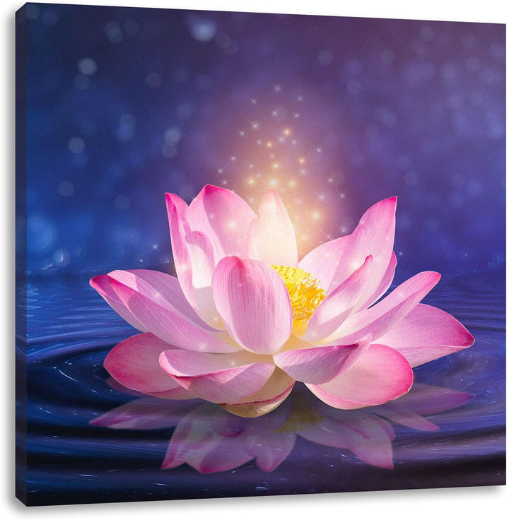 Pixxprint pinker Lotus im Wasser als Leinwandbild Quadratisch| Grösse: 70x70 cm | Wandbild | Kunstdr