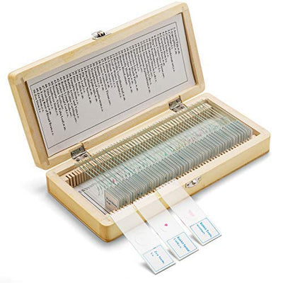 SWIFT 50 Vorgefertigte Mikroskop-Dias Set für die Biologische Wissenschaft, mit Holzkoffer PS50, PS5