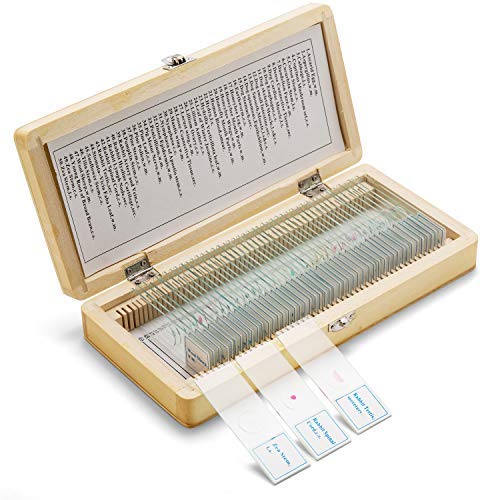 SWIFT 50 Vorgefertigte Mikroskop-Dias Set für die Biologische Wissenschaft, mit Holzkoffer PS50, PS5