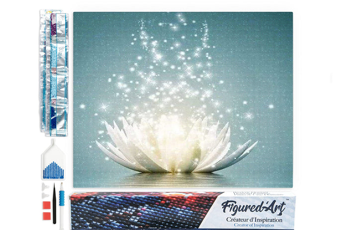 Figured'Art Diamond Painting Erwachsene 40x50cm Ganze Leinwand gerollt Magisches Licht 5D Bilder Eck
