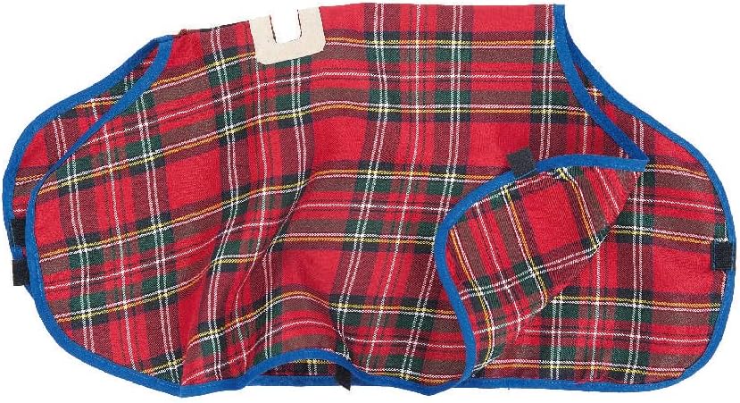 Schaukelpferd Jolly-Set │ Schaukelpferd + Pferdedecke │ hochwertiges Holzpferd Babyschaukel Taufe Ge